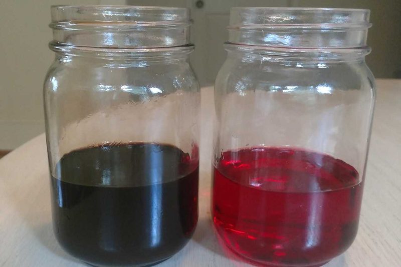 A side by side comparison of dirty and clean transmission fluid, in two glass jars.