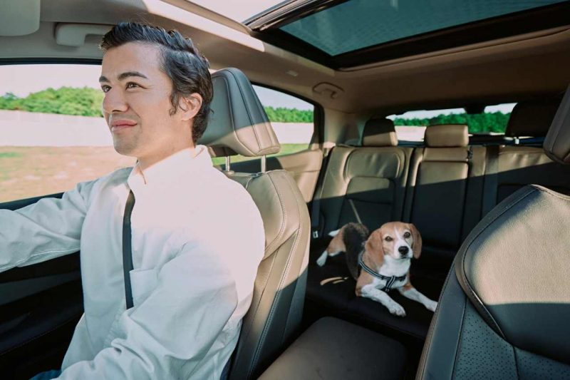 A beagle sits in the backseat of the Nissan Ariya, while a Caucasian male driver drives the vehicle.