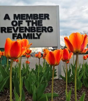 Orange tulips in front of sign that reads A Member of the Revenberg Family