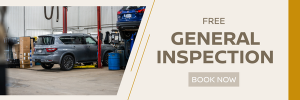 Free General Inspection