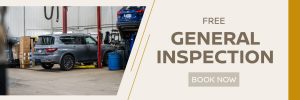 Free General Inspection