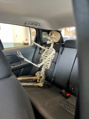 skeleton passenger 