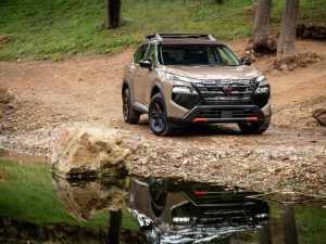 Nissan Rogue Rock Creek