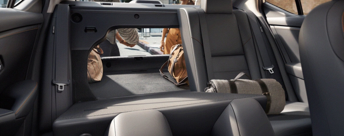 Premium Seating