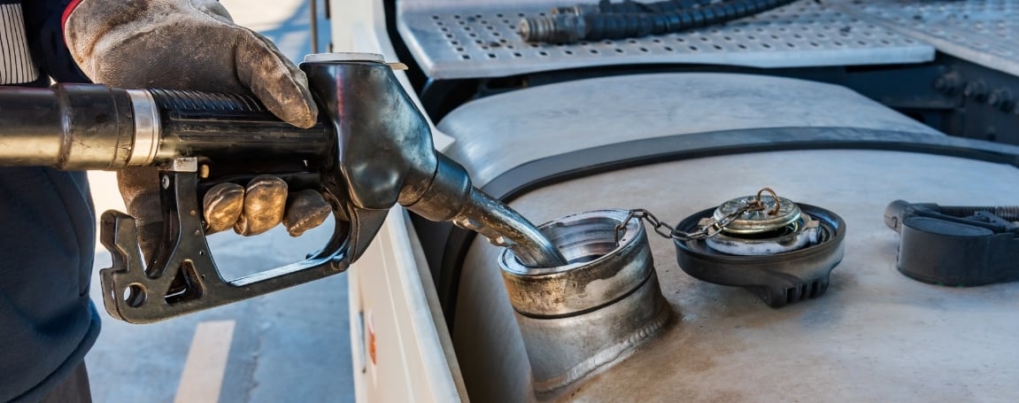 A Quick Look at What Makes Them Different