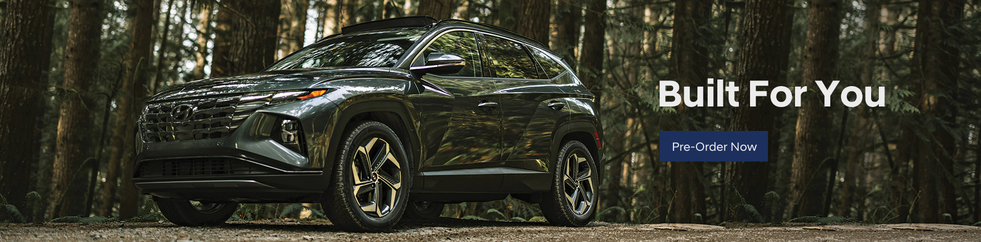 Your New & Used Car Dealership in Kanata | Myers Kanata Hyundai